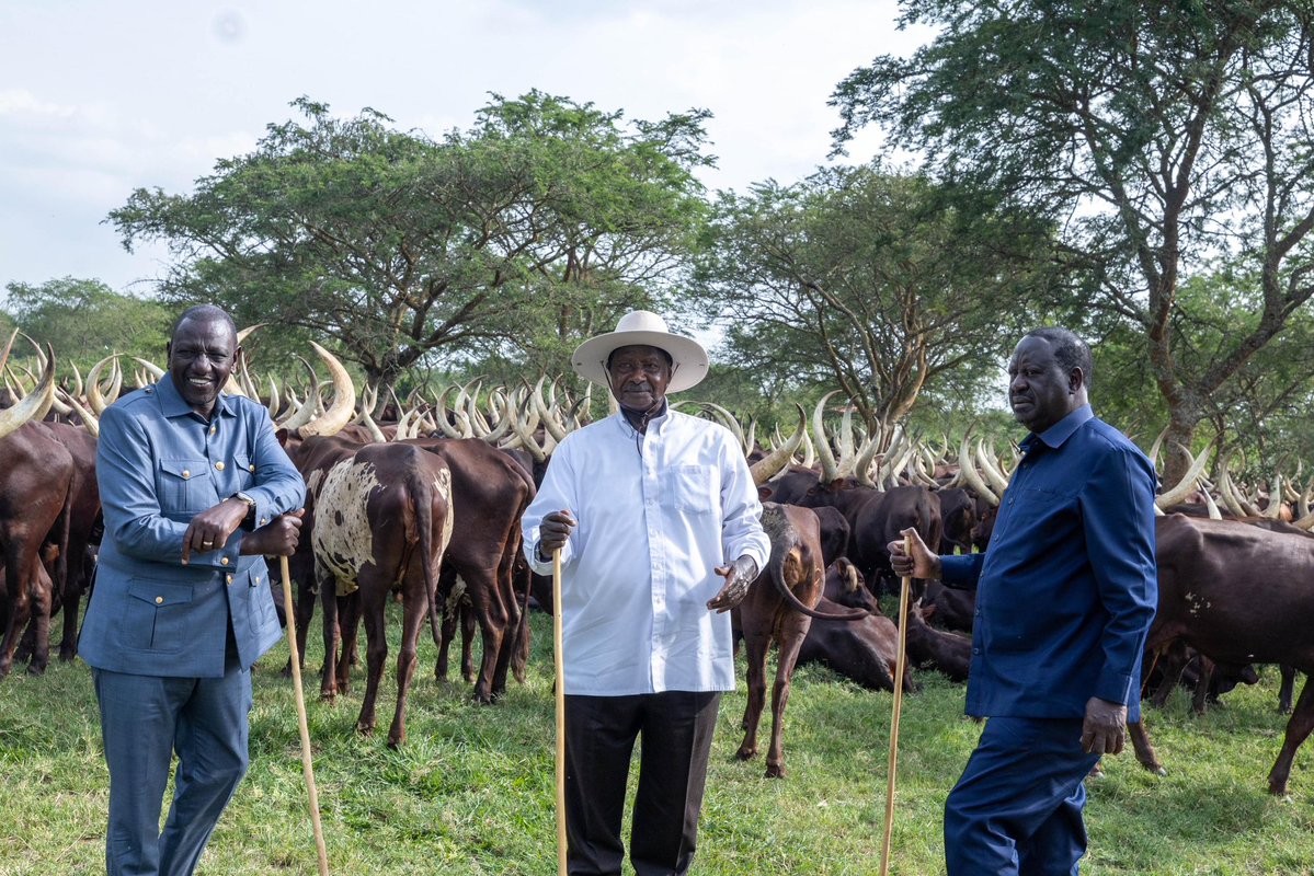 Dr Jibril S. Owomugisha (@dr_jibcares) on Twitter photo It's a very sad morning for the <a href="/jumuiya/">East African Community</a> region upon the loss of such a great icon of Peace & unity.
Your soul will forever be remembered by the Kenyans & the entire Africa.
RIP <a href="/RailaOdinga/">Raila Odinga</a> It's a very sad morning for the <a href="/jumuiya/">East African Community</a> region upon the loss of such a great icon of Peace & unity.
Your soul will forever be remembered by the Kenyans & the entire Africa.
RIP <a href="/RailaOdinga/">Raila Odinga</a>