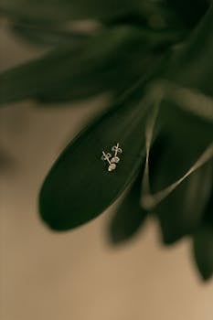 こんにちは💝