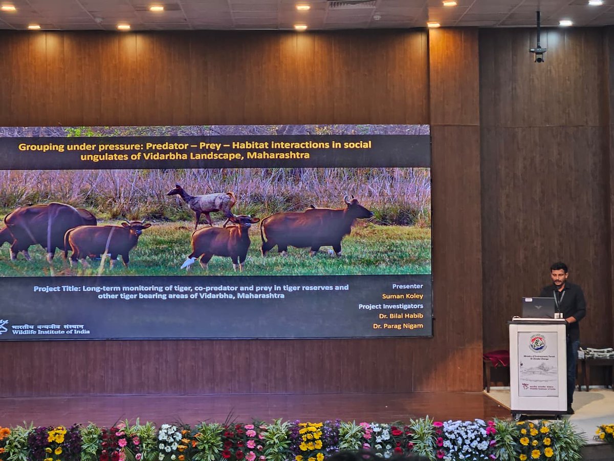 Grouping Under Pressure: Predator – Prey – Habitat Interactions in Social Ungulates of Vidarbha Landscape, Maharashtra, Talk by - Suman Koley

Grouping under pressure: Predator – Prey – Habitat Interactions in social ungulates of Vidarbha Landscape, Maharashtra. #PredatorPrey