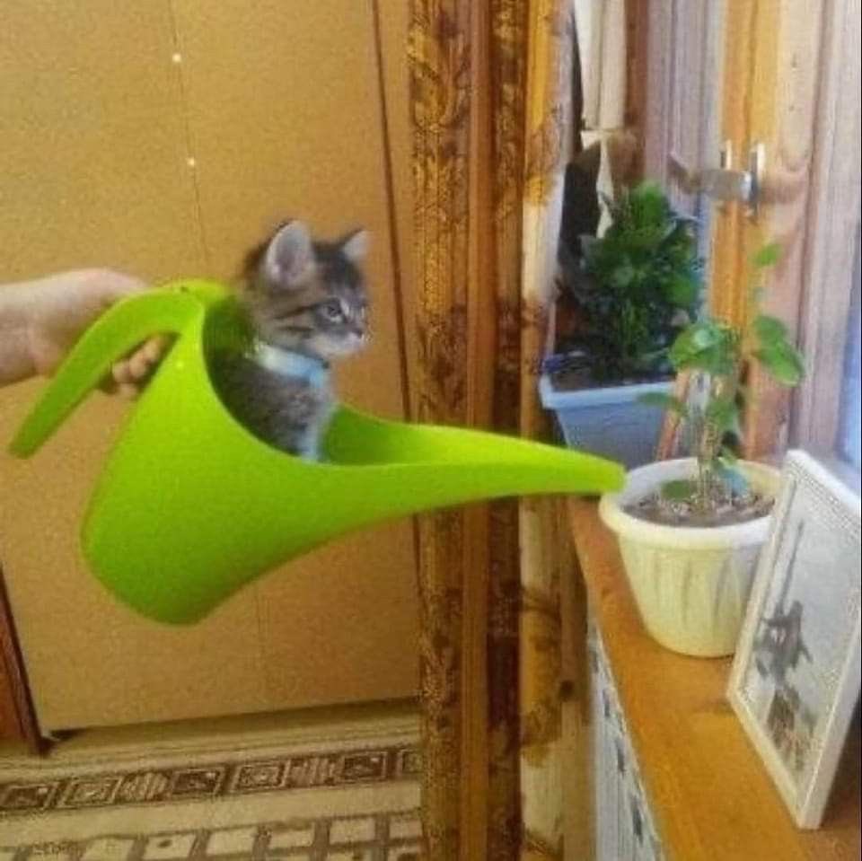 Baraa🐱 (@braauwu) on Twitter photo 