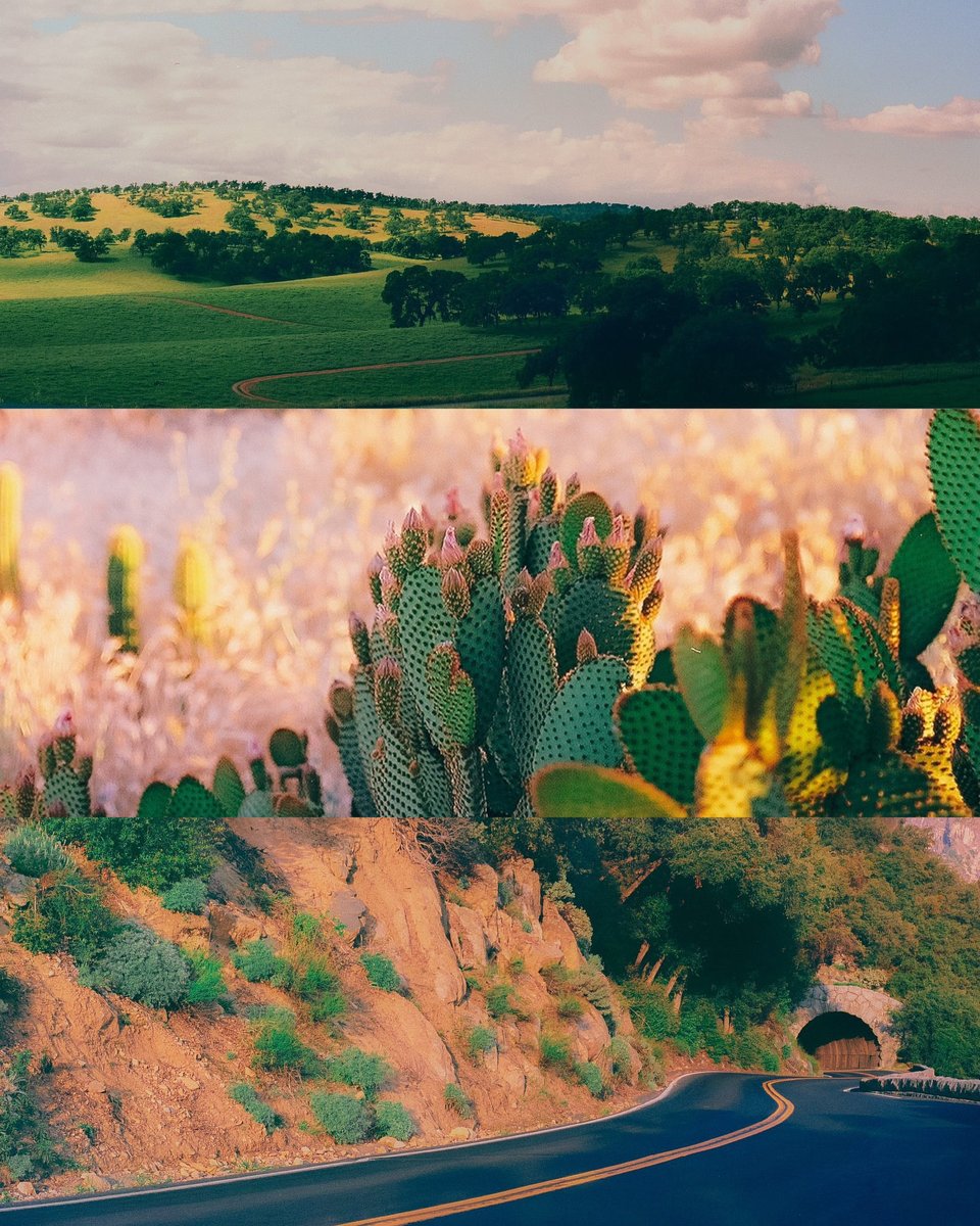 s a i g e ✨ tweet media