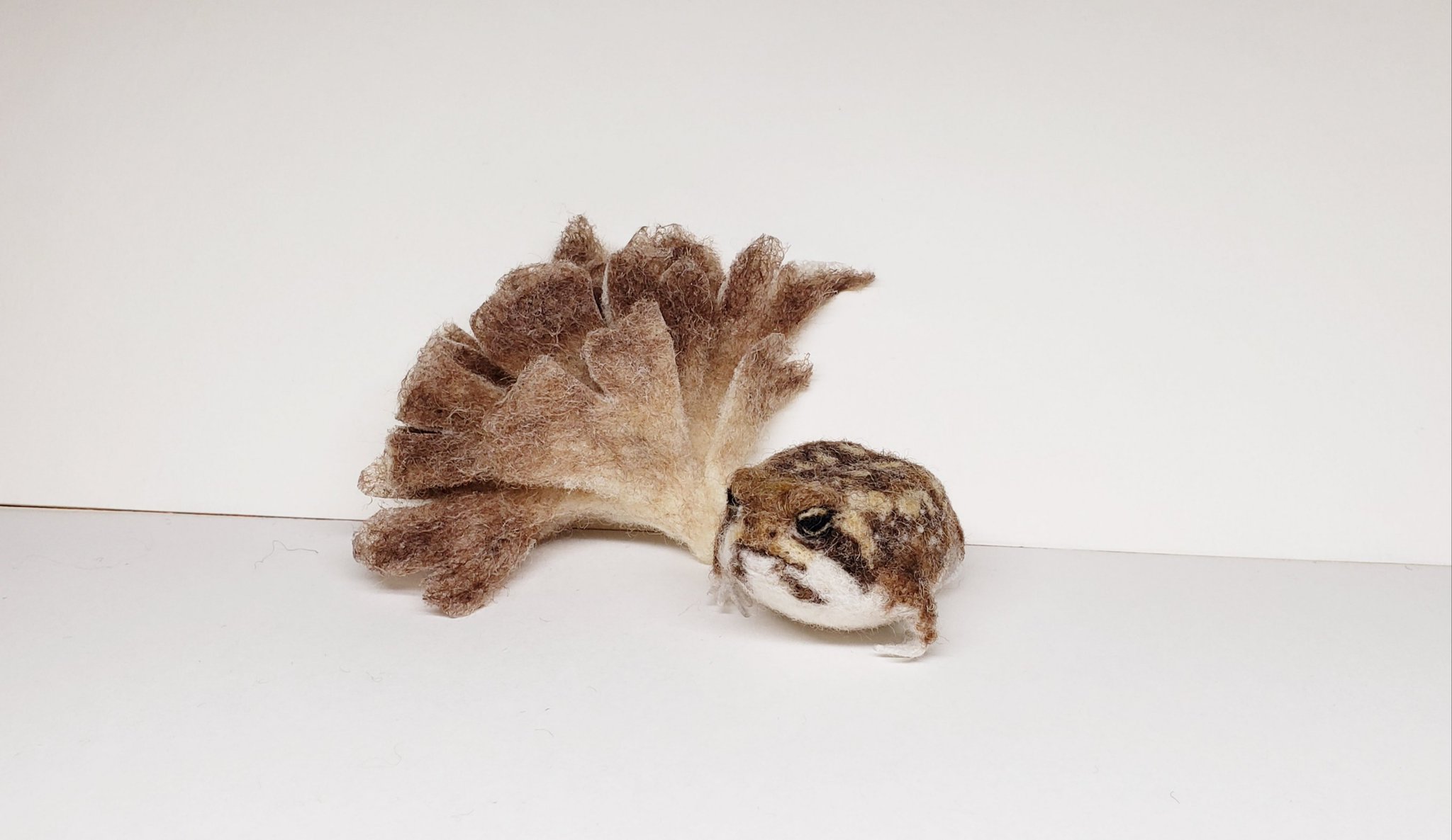 きのこのこのこ kisakino on X: 