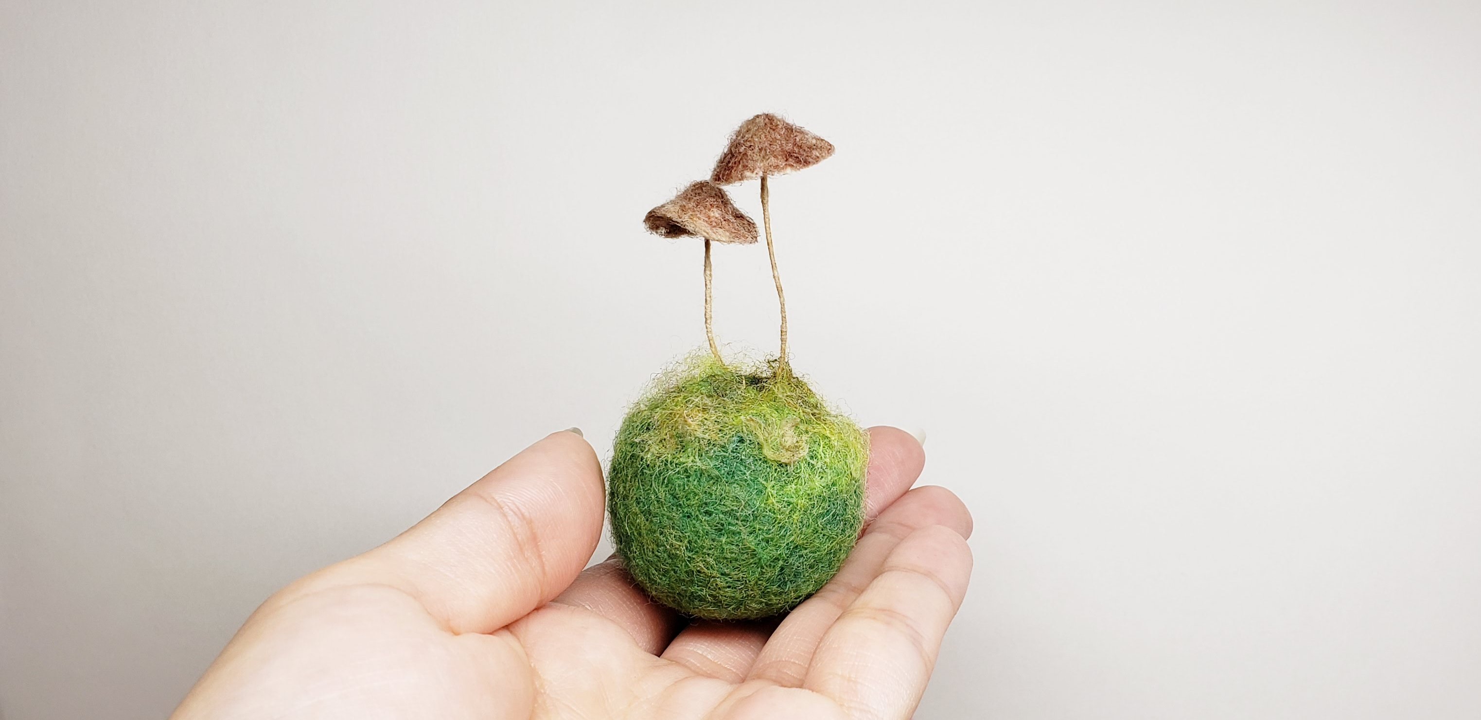 かわもと こう on X: 