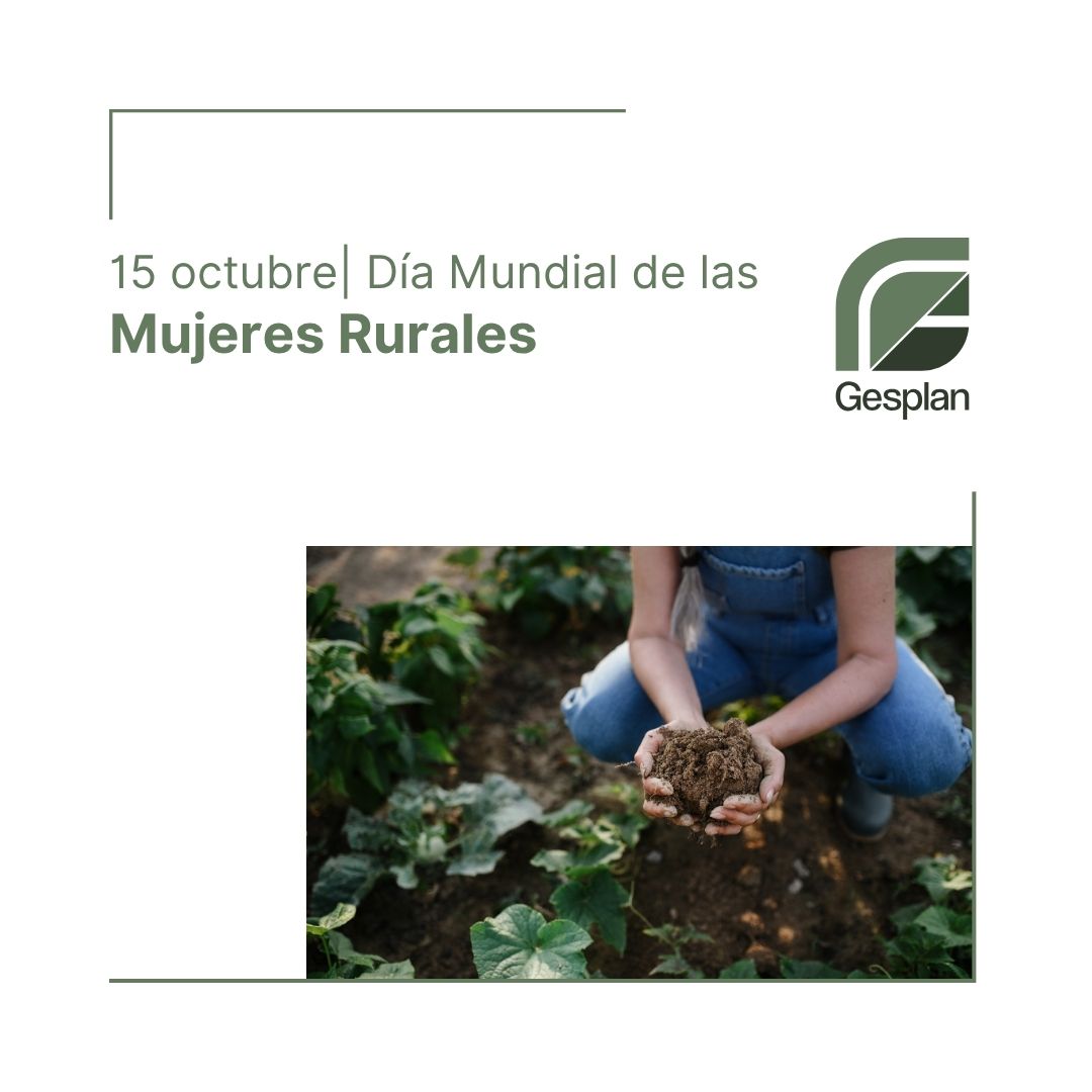 📅 #15octubre | 𝘿𝙞́𝙖 𝙈𝙪𝙣𝙙𝙞𝙖𝙡 𝙙𝙚 𝙡𝙖𝙨 𝙈𝙪𝙟𝙚𝙧𝙚𝙨 𝙍𝙪𝙧𝙖𝙡𝙚𝙨 💚Hoy en Gesplan queremos reconocer el papel esencial de las mujeres rurales en el desarrollo sostenible de #Canarias.

👏Gracias por sembrar futuro en cada rincón del Archipiélago.