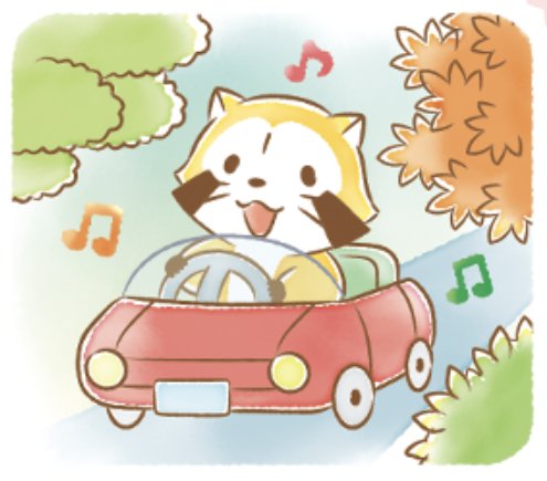 ヴァンちゃんぴかぴかになって帰ってきた！おかえり！
またお出かけたのしみみゃね🚗🦝🎶