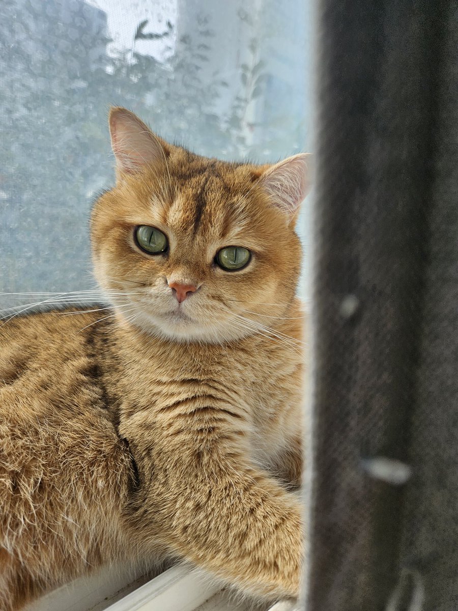 🥟모카는 고롱고롱해🥟 (@mandt_m) on Twitter photo 