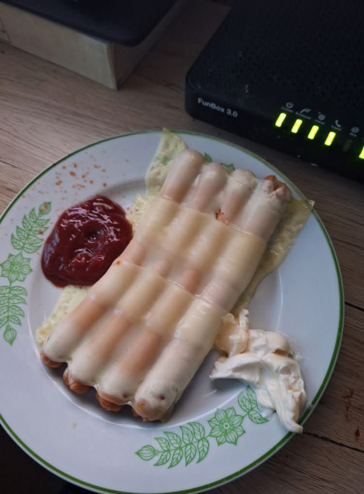 kolezanko's tweet photo. mial byc obiad na 2 dni, zjadlam z tego jedna mala porcje, chlop ojebal cala reszte xd myslalam ze sie poplacze jak wrocilam do domu https://t.co/pFXRDJ59pO