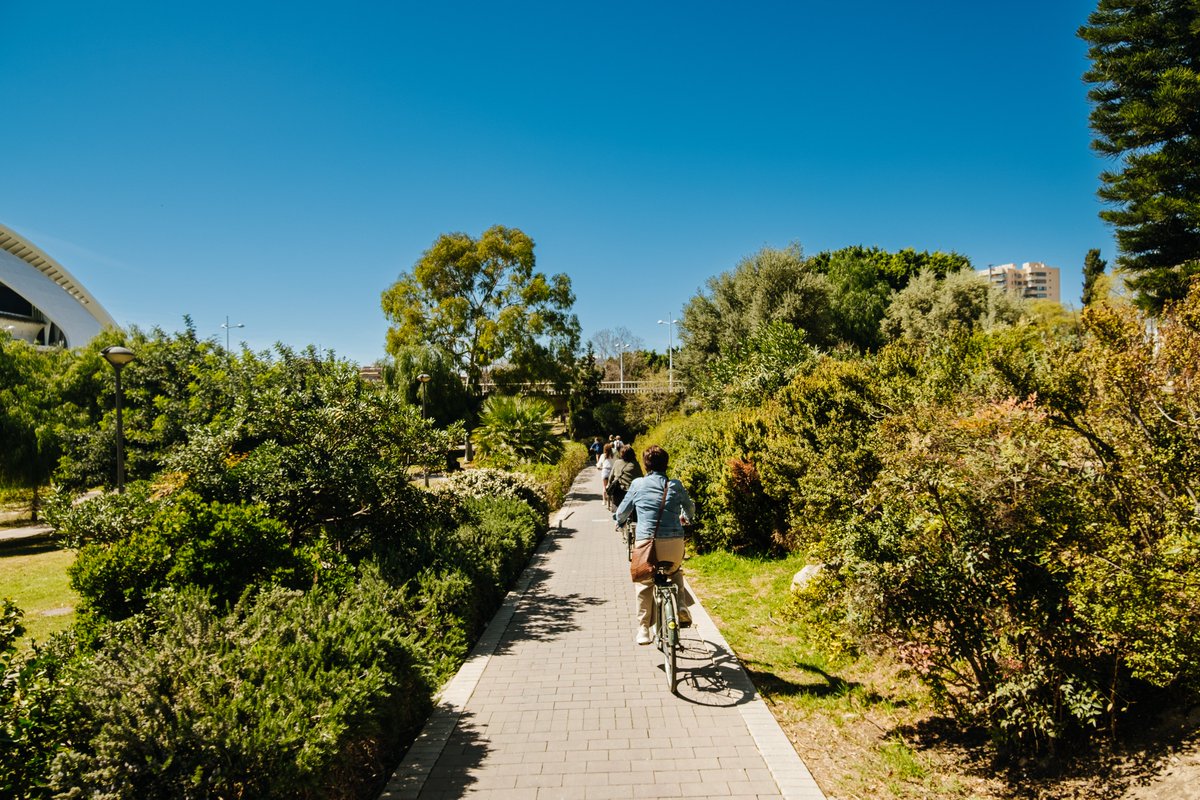 Si necesitas desconectar, ¡súbete a la bici! 🚲

Las rutas verdes de #València son la mejor excusa para hacerlo.😉👇

visitvalencia.com/rutas-verdes?u…

#VisitValència #EUGreenCapital #GreenValència