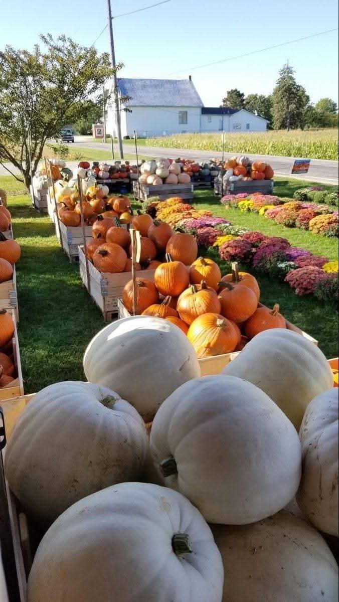 <a href="/NosCalanGaeaf/">Halloween Queen 🎃</a>