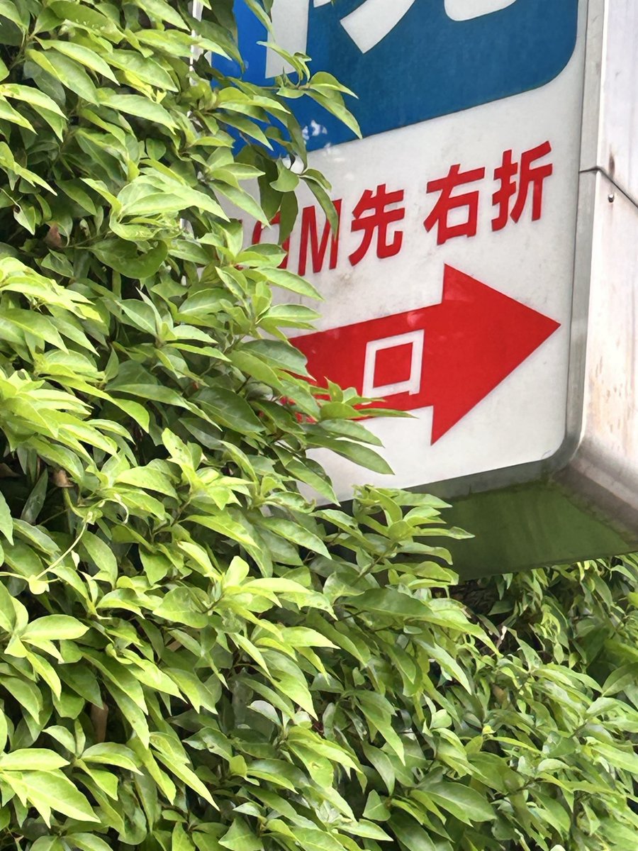 b_m_p_f_'s tweet photo. 私のこの前のお散歩写真見て！😆

初めて武蔵小金井行った！ https://t.co/qxk1y09xge