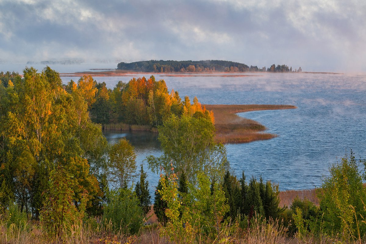 The Osveysky Nature Reserve is a natural gem of Belarus. The reserve has the high conservation status of a Ramsar site. 16 plant species &amp; 39 animal species listed in the Red Book have been recorded there. The heart of the reserve is Lake Osveyskoye, the second largest lake in 🇧🇾