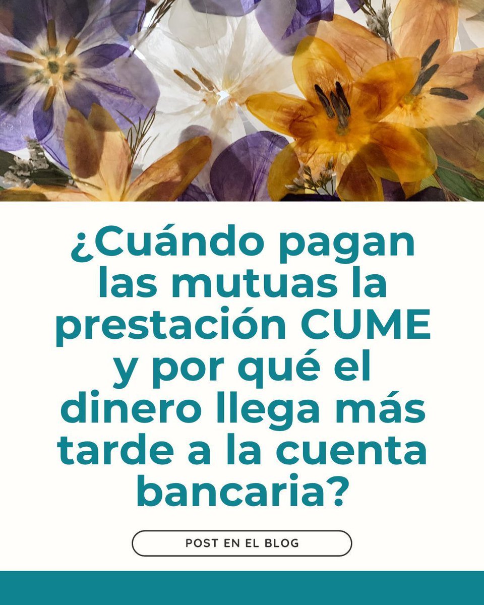 ASFACUME - Asociación tweet media