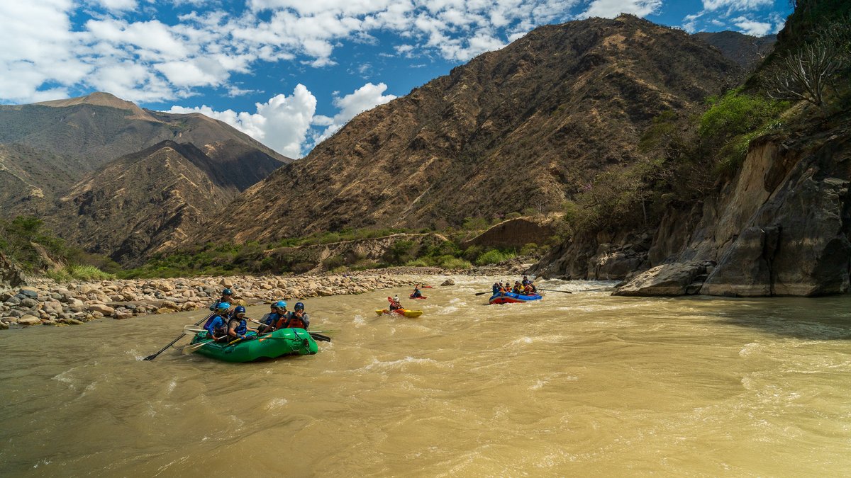 Riverkin tweet media