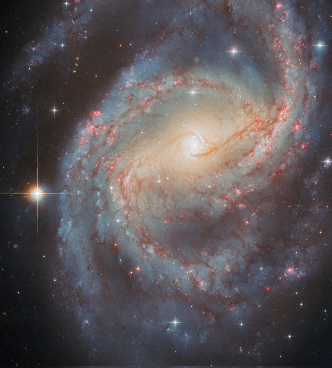 Swetilein1's tweet image. 'Starbursting centre'
Credit: ESA/Hubble & NASA, L. C. Ho, G. Brammer, A. Filippenko, C. Kilpatrick
esa.int/ESA_Multimedia… 10/10/2025
#space #astronomy