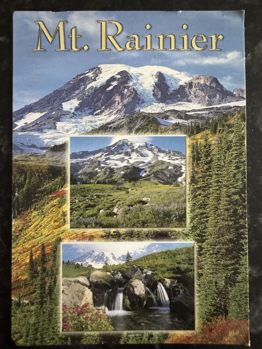A post card from ‘Washington’ and two guests that stayed when we had romans and were visiting from USA bought me to tears. So chuffed and pleased with the chosen path xx and so kind to send a card over the moon xx Thankyou for visiting in 2025. #abbeyfarmhouse