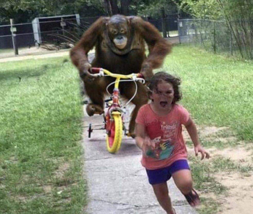 A rare picture of Shadrack Sibiya chasing Chris Excel: