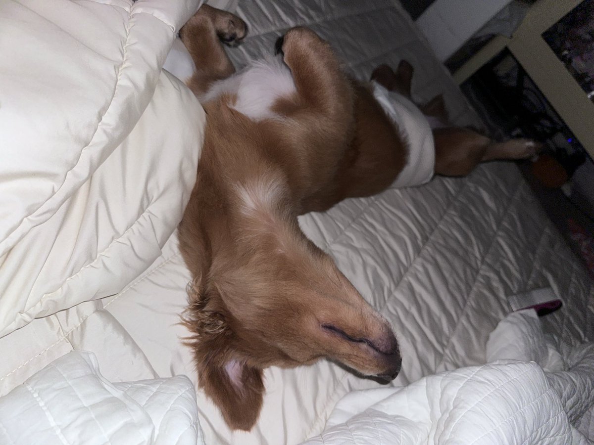 이미지 출처- 개터레스트