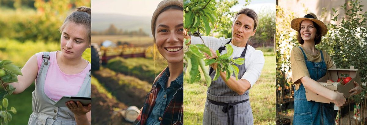 📆 15 de octubre: Día de la Mujer Rural 

🔎 La aportación social, cultural y económica que desarrollan las mujeres de todas las edades en áreas rurales es fundamental

✅ La actividad agrícola y ganadera, por supuesto, no es ninguna excepción y cada día se embastece en presencia