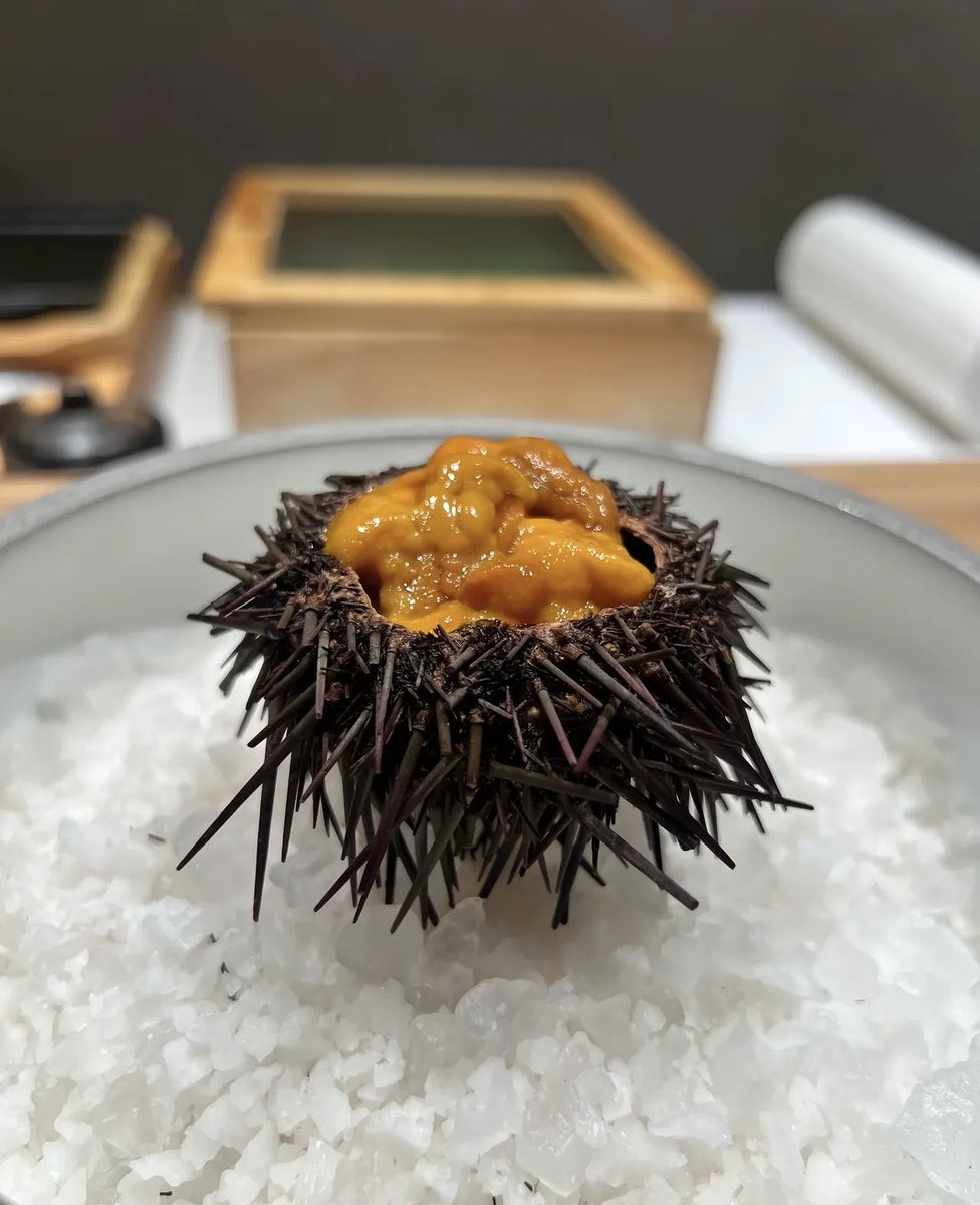 andamonnn's tweet image. ✨🤍🍀🍽️