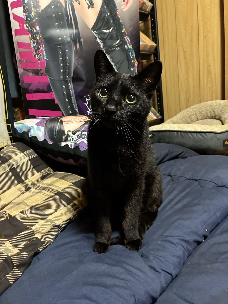 高画質？(^·◕ω◕·^)