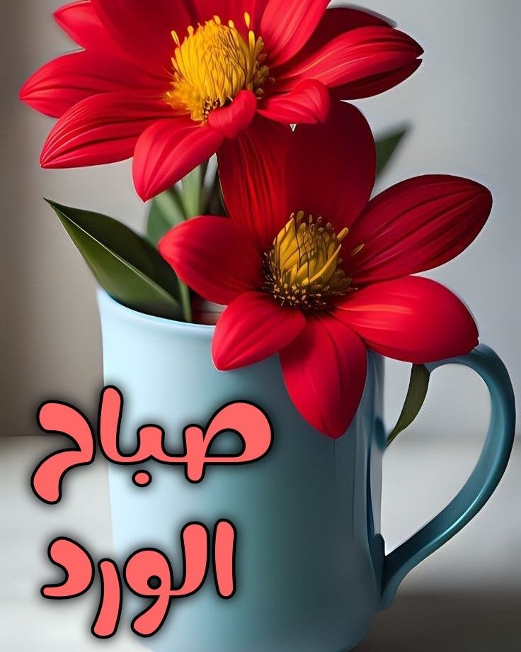 صباح معطر بالعطر والياسمين، دع قلبك يزهر بالحب
#صباح_الخير
