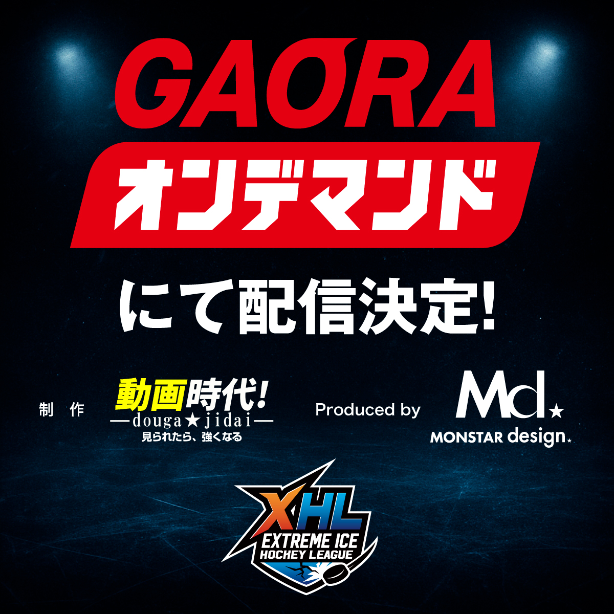 EXTREME ICE HOCKEY LEAGUE（XHL） (@XHL_ICEHOCKEY) / Posts / X