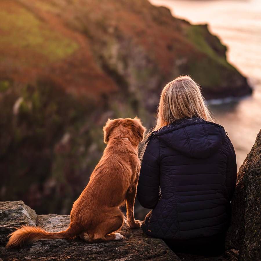 "La vulnerabilidad no es debilidad. 
Es nuestra medida más precisa de coraje."

Brené Brown

#vulnerabilidad #autoestima 
#Coraje #corazon