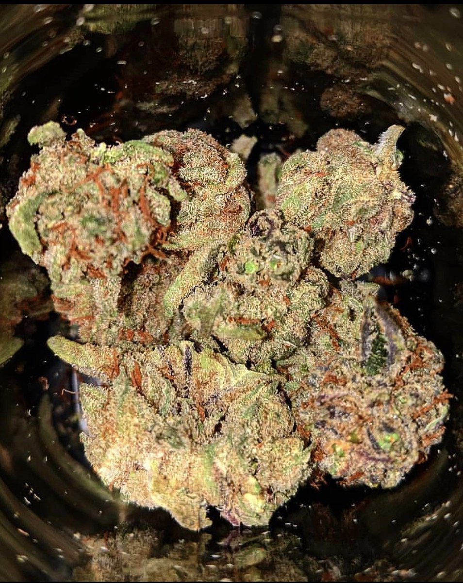 codeinhigh0's tweet image. Which is your favourite ❤️ 💨🚬