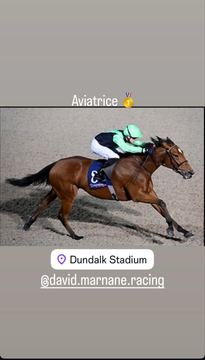 nanallac_stud's tweet image. Well done to connections, Aviatrice bolts up 🤩 #nanallacstud #homebred