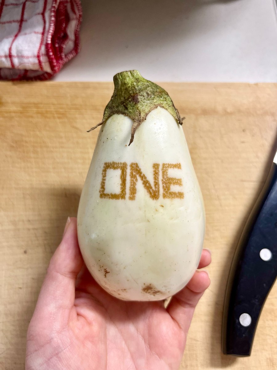 今日もお疲れ様です！

さて
今夜は何を食べようか･･･

（この後美味しくいただきました🍆）