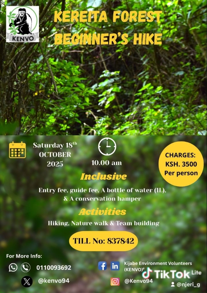Kijabe Environmental Volunteers tweet media