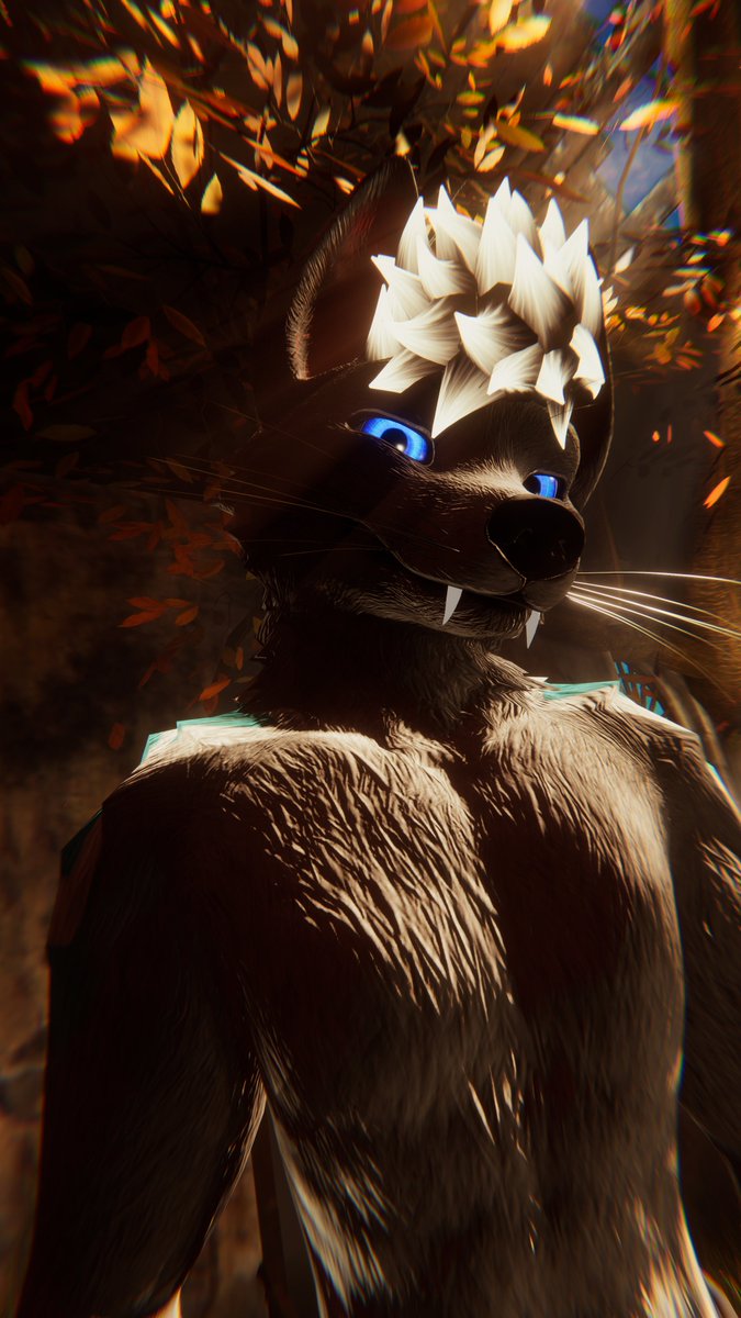 ShyerWolf tweet media