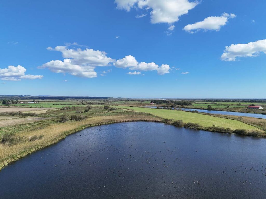 ブログを更新しました。 (十勝平野でガンのねぐら調査) バードリサーチ活動状況 - blog2.bird-research.jp/?p=1302