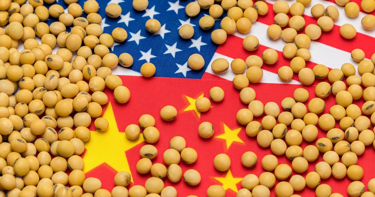 commiepommie's tweet image. 🇨🇳💥🇺🇸 China halts U.S. soybean imports and Trump panics

China has officially paused all U.S. soybean purchases. The move comes right as America’s harvest season begins, leaving millions of tons unsold and U.S. farmers begging Trump to fix his own mess.

Instead of negotiating,…