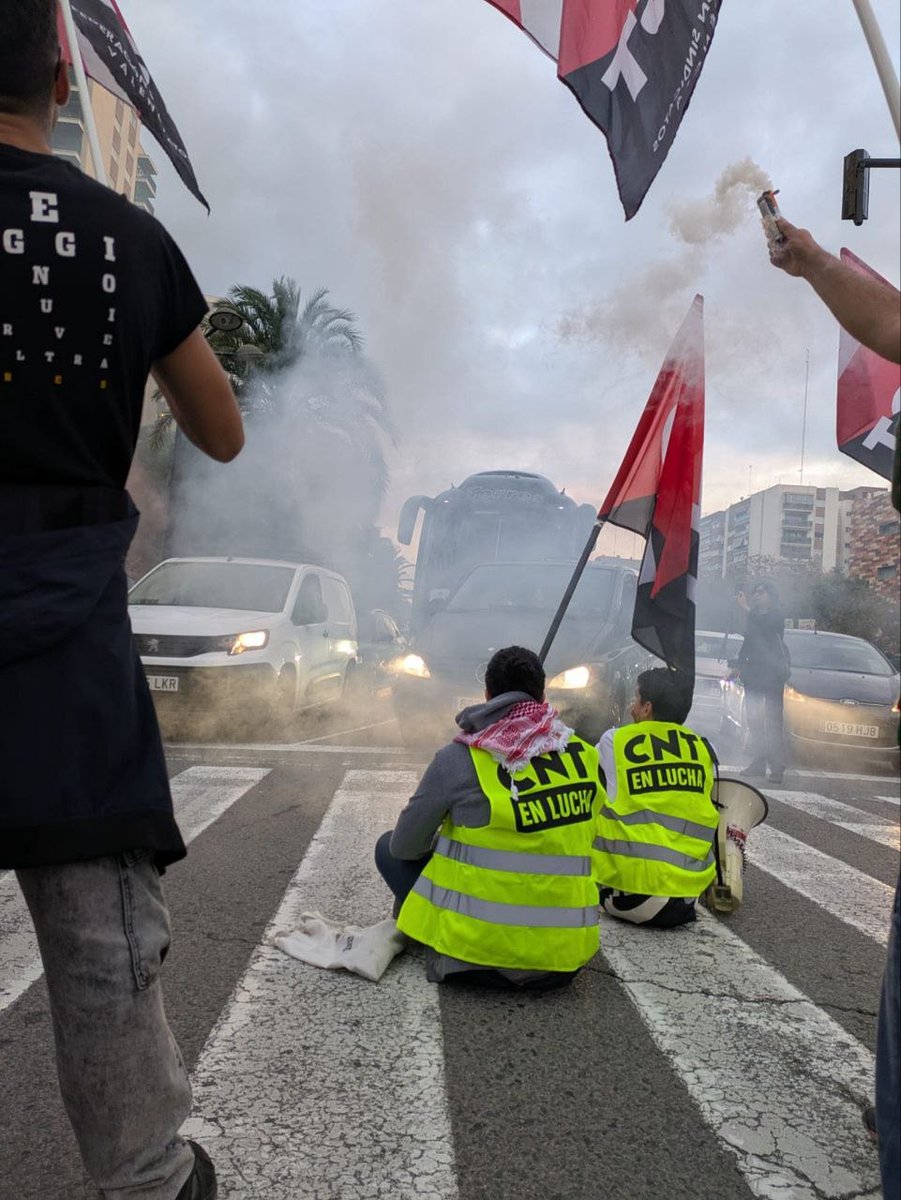 CNT_Valencia's tweet image. #VagaGeneral 
#HuelgaGeneral15O 

València, 15 d'octubre de 2025

#StopGenocideInGaza