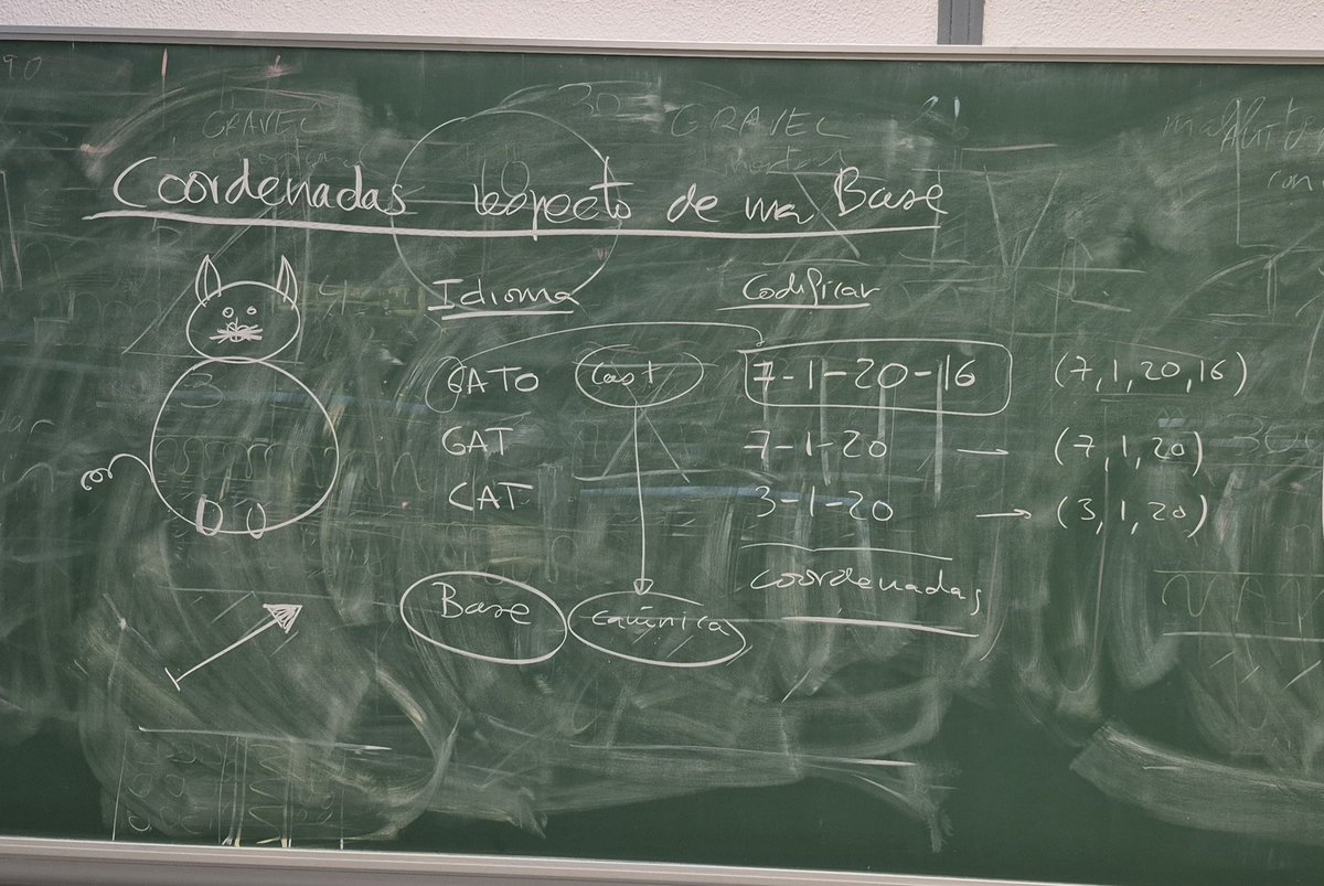 Francisco Pedroche tweet media