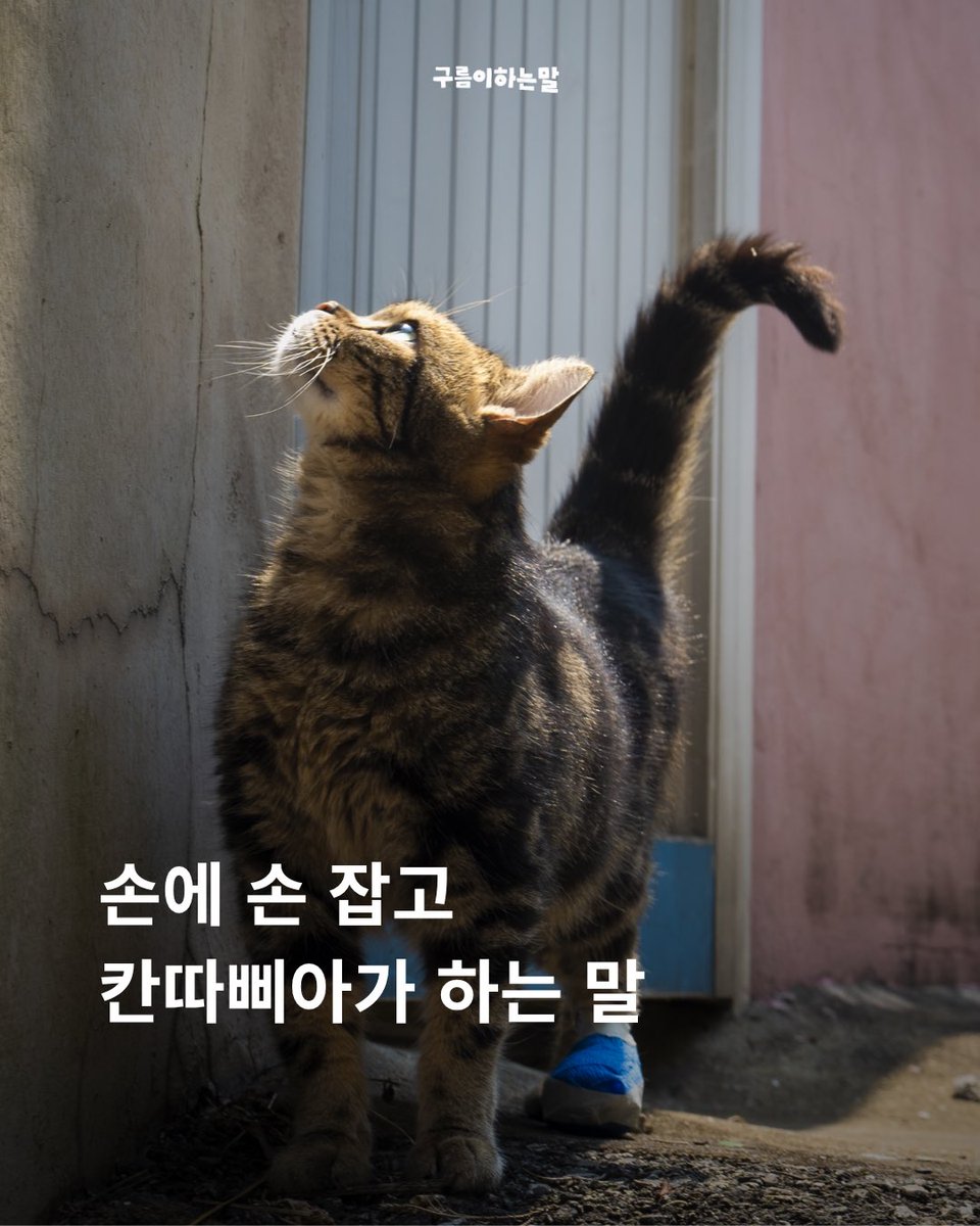 씨네소파 배급 일기 tweet media