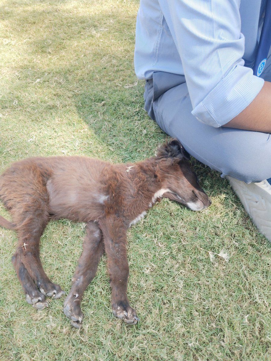 mohitparmarsoni's tweet image. Name her