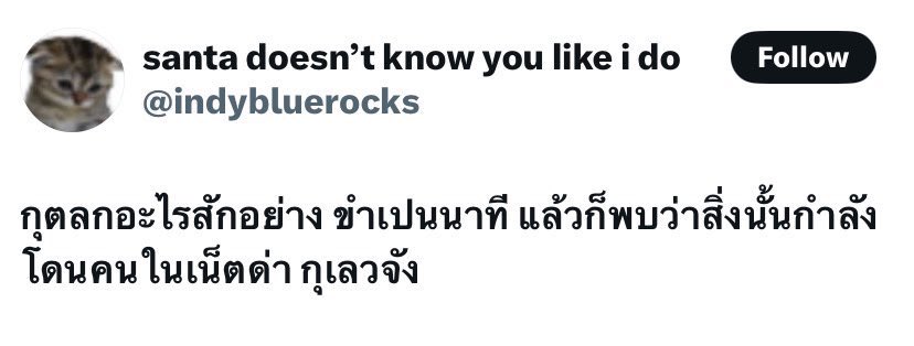 brainrotlevelxx's tweet image. 