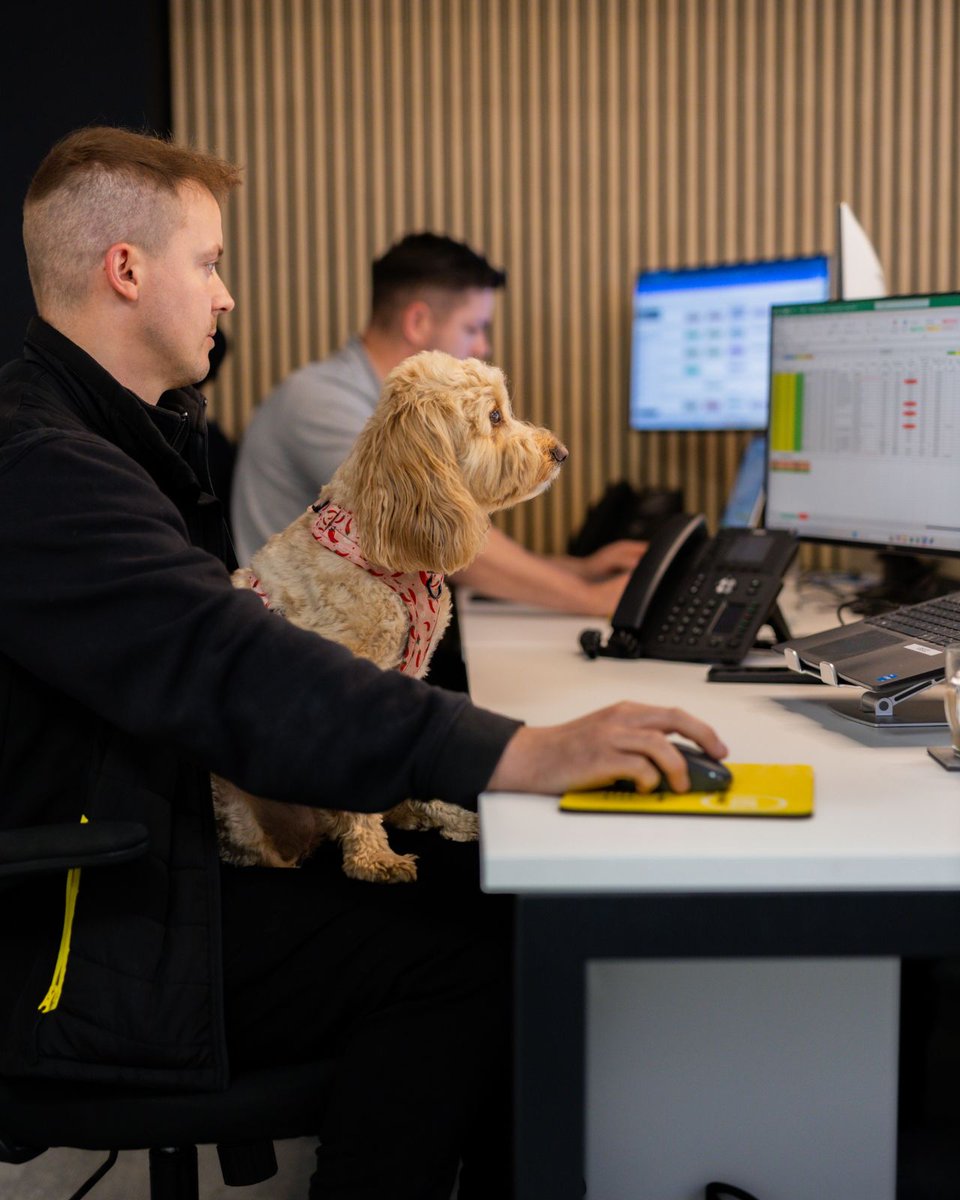 Wilma’s claimed the comfiest "chair" in the office, and she’s not giving it up any time soon. 🐾🪑

Looks like Cameron’s not going anywhere for a while. 😂

#OfficeDog #TeamVision