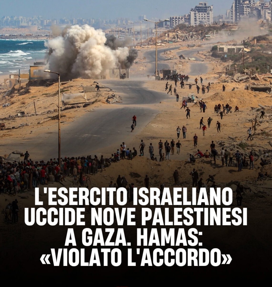 Matteo Gracis tweet media