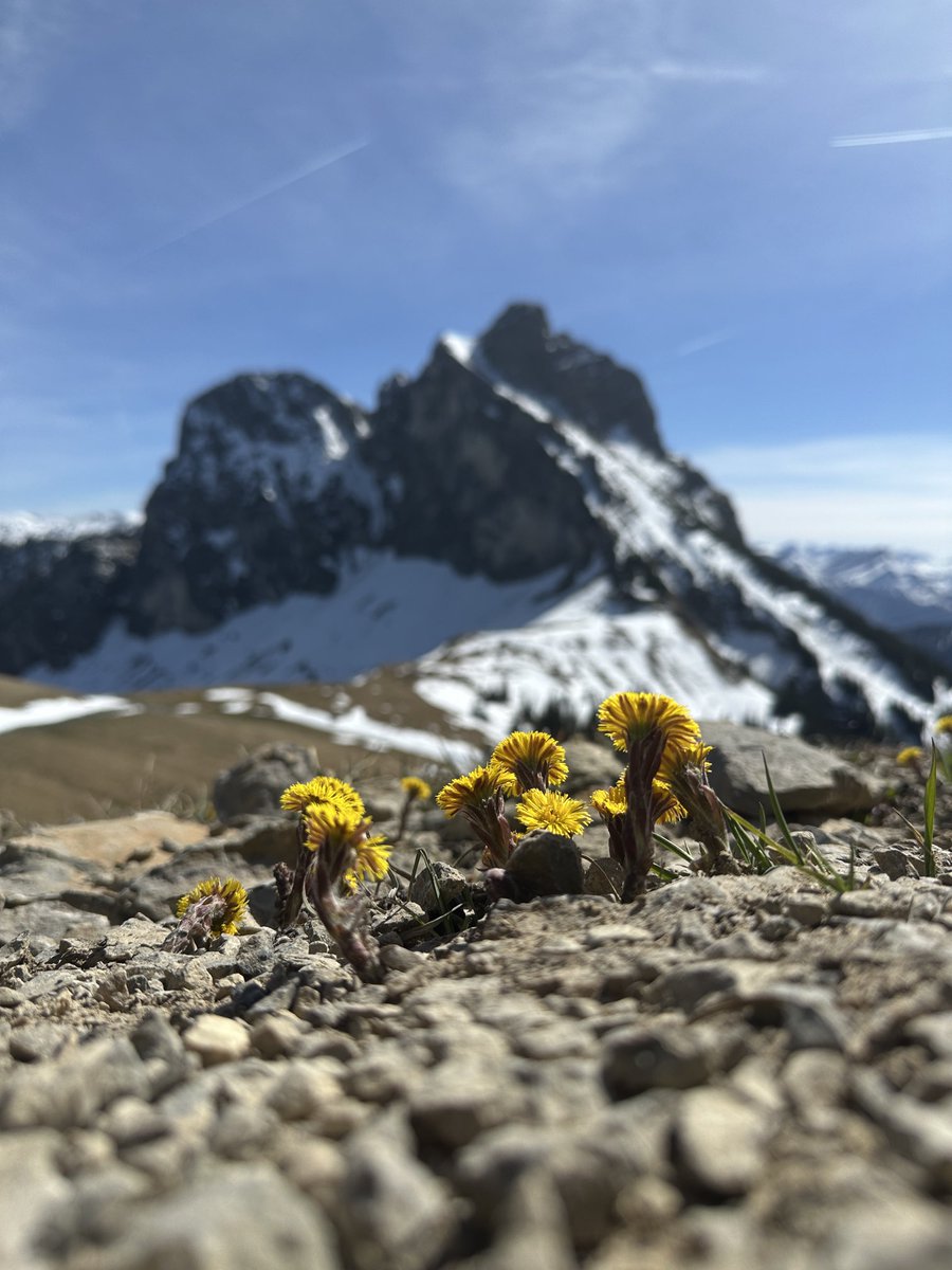 Ina 💎 Limited Edition tweet media