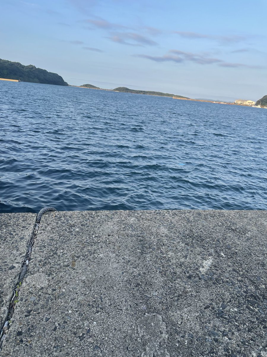 sin49337219's tweet photo. 黄昏に海 https://t.co/tRu4cGja6g