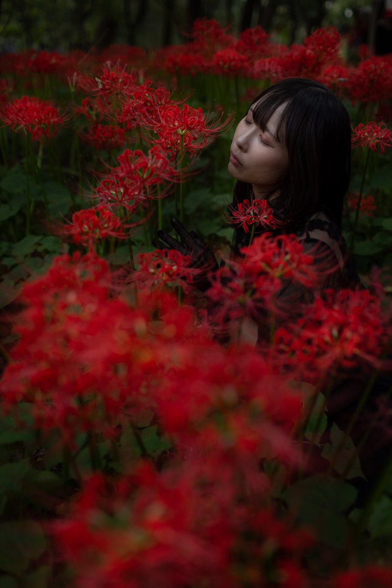 model:彩川菜々さん
X:<a href="/1224nana1224/">彩川 菜々/•᷅‎‎•᷄\੭</a>
#人像摄影 #인물사진
#ポートレート #portraitphotography