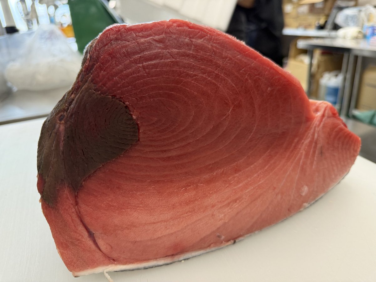 本日店舗プレオープン初日ありがとうございました！　
たくさん改善点見つかりました　感謝です。

本日のマグロです🍣