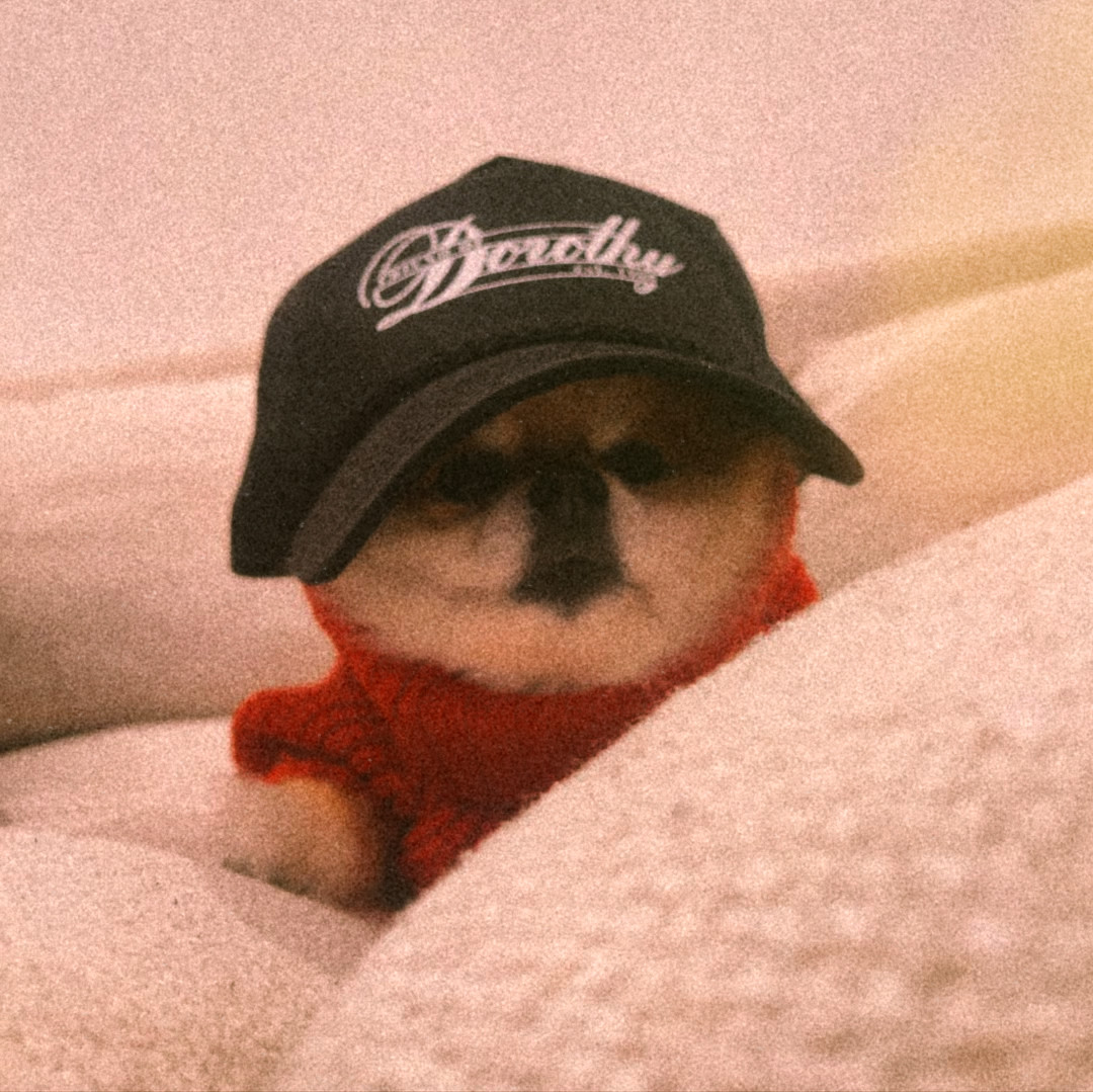 𝒍𝒆𝒊𝒈𝒉𝒕𝒐𝒏 𝒗͟𝒂͟𝒍͟𝒆 tweet media