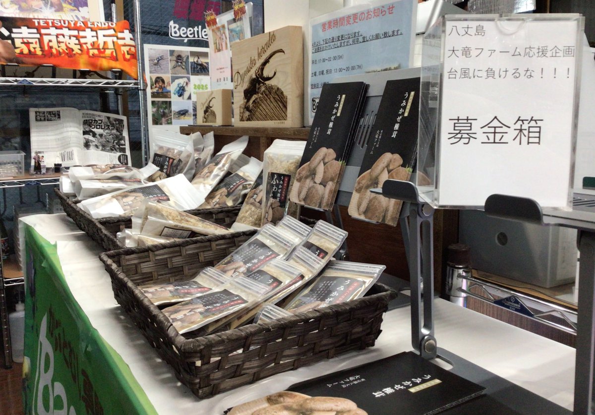 Beetle_onTokyo's tweet photo. 八丈島　大竜ファーム応援企画　台風に負けるな募金箱を緊急設置致しました。数日前の台風により建物が壊れてしまい、大変な事になっています。
私にできる事は、募金箱の設置と大竜ファームの商品の販売です。今回、売上の全額を寄付しますので是非ご購入の程、宜しくお願い致します。 https://t.co/1vNDzdXO6S