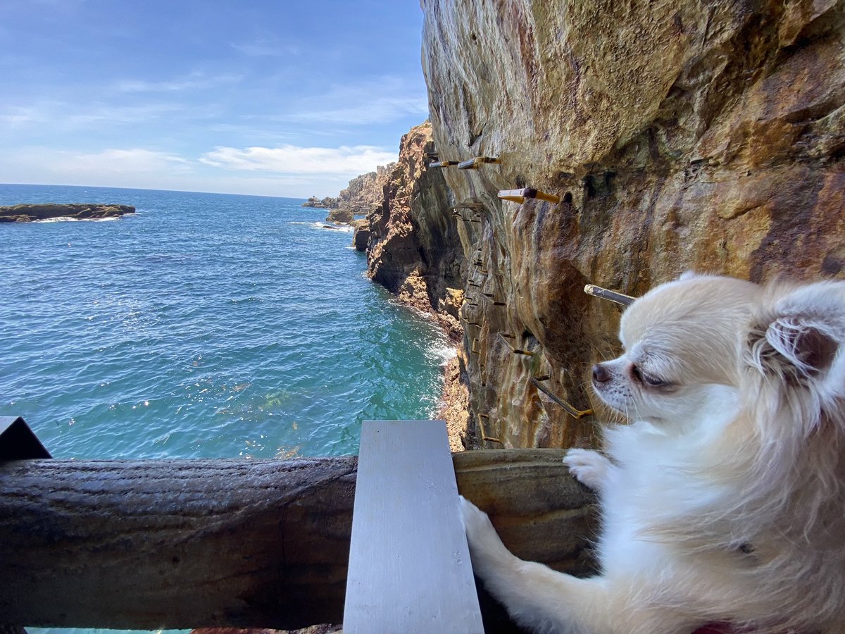 小室圭（本物） (@jack_pikadon) / Posts / X