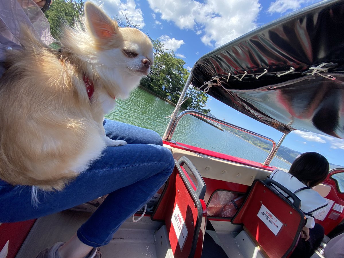 小室圭（本物） (@jack_pikadon) / Posts / X