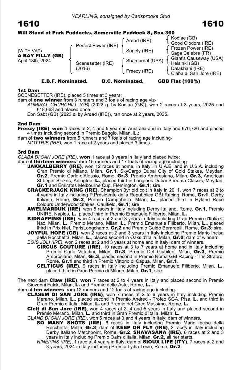Lot 1610 <a href="/Tattersalls1766/">Tattersalls</a> Book 3 is a sharp racy filly by <a href="/DarleyEurope/">Darley in Europe</a> Perfect Power out of Scenesetter (Shamardal). She is a sister to <a href="/paddytwomey/">Paddy</a> Admiral Churchill (R95) from the family of Jakkalberry &amp; Crackerjack King